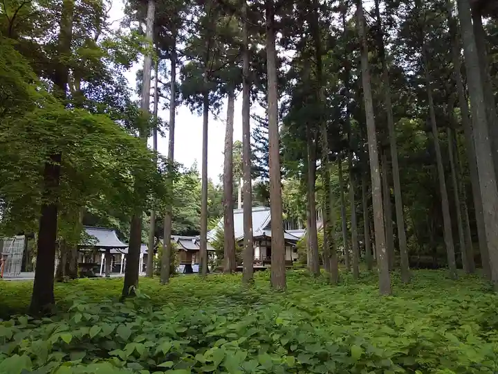 賀茂神社(福井県)