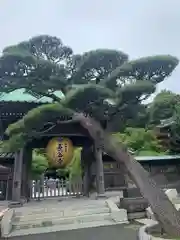 長谷寺(神奈川県)