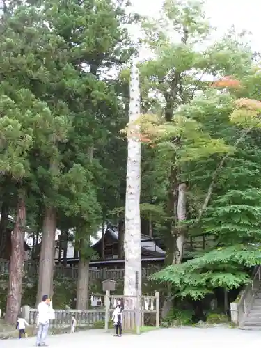 諏訪大社(長野県)