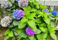 皆中稲荷神社(東京都)