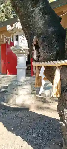 前原御嶽神社の{uncategorized: "未分類", other: "その他", undefined: "問題あり", building: "その他建物", grave: "お墓", sacred_gate: "鳥居", guardian: "狛犬", statue: "像", buddha: "仏像", history: "歴史", nature: "自然", garden: "庭園", animal: "動物", pagoda: "塔", temizu: "手水舎", mountain_gate: "山門・神門", sanctuary: "本殿・本堂", subordinate: "末社・摂社", art: "芸術", scenery: "景色", jizo: "地蔵", ema: "絵馬", goshuin: "御朱印", omikuji: "おみくじ", items: "授与品その他", amulet: "お守り", goshuincho: "御朱印帳", eats: "食事", festival: "お祭り", votive_dance: "神楽", shichigosan: "七五三参", wedding: "結婚式", experience: "体験その他", initially: "初詣", around: "周辺", anti_infection: "感染症対策"}