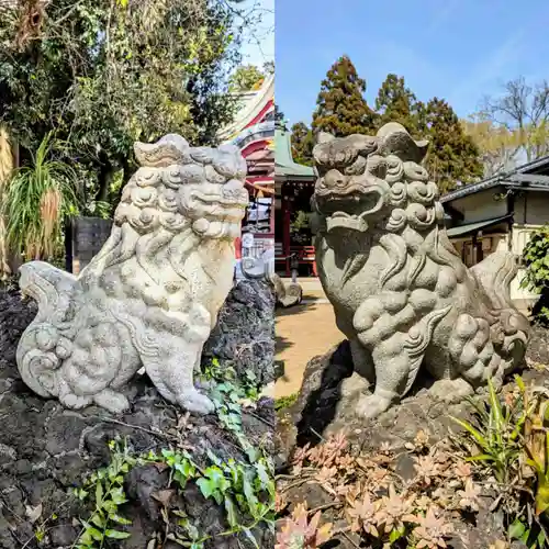 柏諏訪神社の狛犬