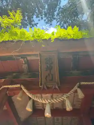 戸隠神社奥社(長野県)