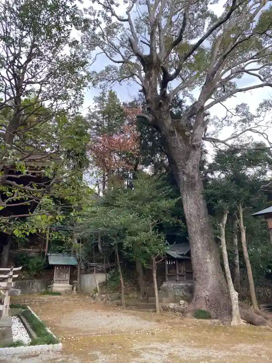 居神神社(神奈川県)