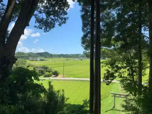 大宮神社の景色