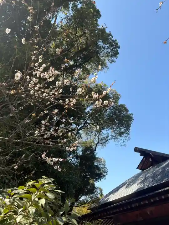 熱田神宮の{uncategorized: "未分類", other: "その他", undefined: "問題あり", building: "その他建物", grave: "お墓", sacred_gate: "鳥居", guardian: "狛犬", statue: "像", buddha: "仏像", history: "歴史", nature: "自然", garden: "庭園", animal: "動物", pagoda: "塔", temizu: "手水舎", mountain_gate: "山門・神門", sanctuary: "本殿・本堂", subordinate: "末社・摂社", art: "芸術", scenery: "景色", jizo: "地蔵", ema: "絵馬", goshuin: "御朱印", omikuji: "おみくじ", items: "授与品その他", amulet: "お守り", goshuincho: "御朱印帳", eats: "食事", festival: "お祭り", votive_dance: "神楽", shichigosan: "七五三参", wedding: "結婚式", experience: "体験その他", initially: "初詣", around: "周辺", anti_infection: "感染症対策"}