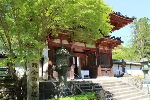 金剛寺の山門