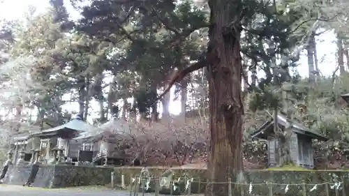 配志和神社の建物その他