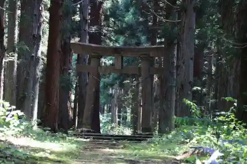 隠津島神社の鳥居