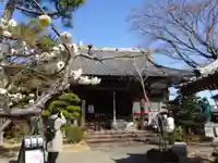 法輪寺の本殿・本堂