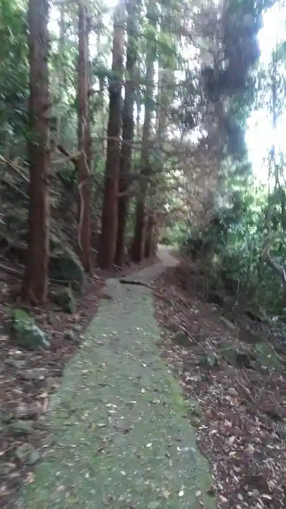 小坂不動尊の周辺