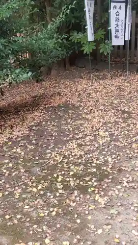 白旗神社(西御門)(神奈川県)