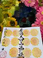 白山神社の御朱印