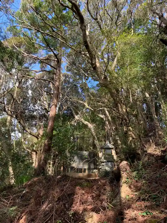 天津日神社の本殿・本堂