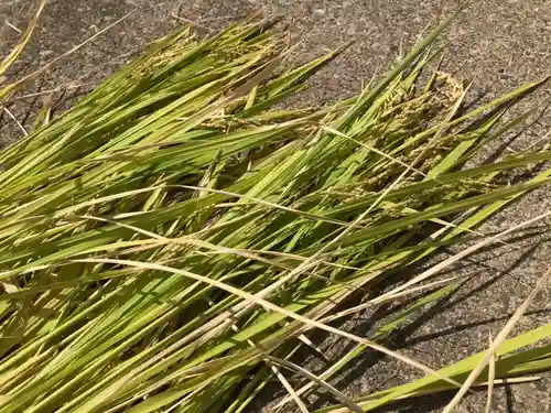 總社 和田八幡宮(福井県)