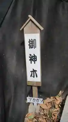 浅間神社(千葉県)