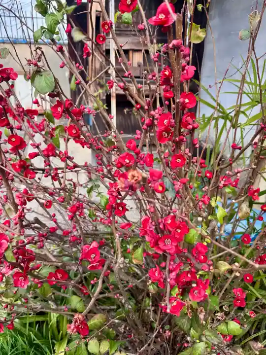 大蓮寺の{uncategorized: "未分類", other: "その他", undefined: "問題あり", building: "その他建物", grave: "お墓", sacred_gate: "鳥居", guardian: "狛犬", statue: "像", buddha: "仏像", history: "歴史", nature: "自然", garden: "庭園", animal: "動物", pagoda: "塔", temizu: "手水舎", mountain_gate: "山門・神門", sanctuary: "本殿・本堂", subordinate: "末社・摂社", art: "芸術", scenery: "景色", jizo: "地蔵", ema: "絵馬", goshuin: "御朱印", omikuji: "おみくじ", items: "授与品その他", amulet: "お守り", goshuincho: "御朱印帳", eats: "食事", festival: "お祭り", votive_dance: "神楽", shichigosan: "七五三参", wedding: "結婚式", experience: "体験その他", initially: "初詣", around: "周辺", anti_infection: "感染症対策"}