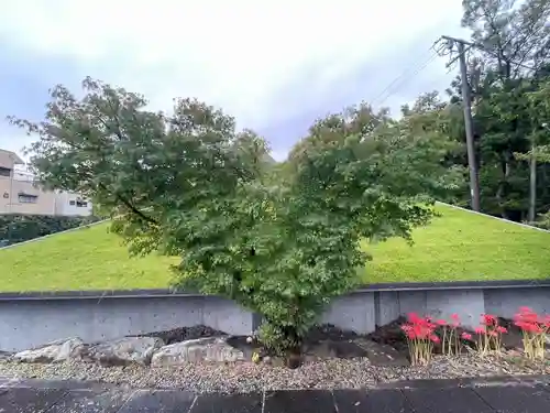 伊勢の国 四天王寺の自然