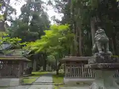 雄山神社中宮祈願殿の狛犬