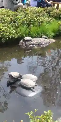 根津神社(東京都)