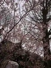 賀羅加波神社(広島県)