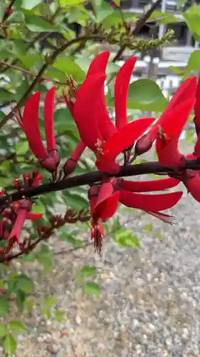 覚王山 日泰寺の自然