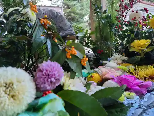 滑川神社 - 仕事と子どもの守り神の手水