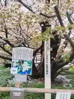 長勝院の{uncategorized: "未分類", other: "その他", undefined: "問題あり", building: "その他建物", grave: "お墓", sacred_gate: "鳥居", guardian: "狛犬", statue: "像", buddha: "仏像", history: "歴史", nature: "自然", garden: "庭園", animal: "動物", pagoda: "塔", temizu: "手水舎", mountain_gate: "山門・神門", sanctuary: "本殿・本堂", subordinate: "末社・摂社", art: "芸術", scenery: "景色", jizo: "地蔵", ema: "絵馬", goshuin: "御朱印", omikuji: "おみくじ", items: "授与品その他", amulet: "お守り", goshuincho: "御朱印帳", eats: "食事", festival: "お祭り", votive_dance: "神楽", shichigosan: "七五三参", wedding: "結婚式", experience: "体験その他", initially: "初詣", around: "周辺", anti_infection: "感染症対策"}