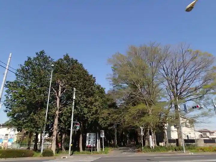 中山神社の自然