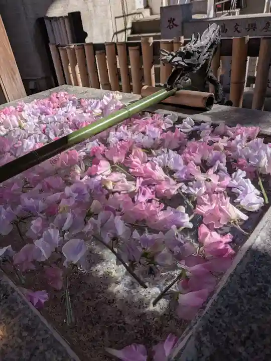 高円寺氷川神社(東京都)