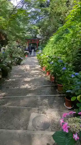 岡寺（龍蓋寺）(奈良県)