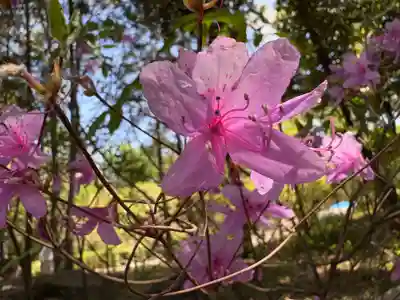 廣田神社(兵庫県)