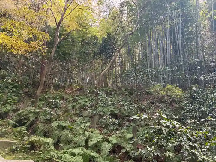 瑞泉寺の{uncategorized: "未分類", other: "その他", undefined: "問題あり", building: "その他建物", grave: "お墓", sacred_gate: "鳥居", guardian: "狛犬", statue: "像", buddha: "仏像", history: "歴史", nature: "自然", garden: "庭園", animal: "動物", pagoda: "塔", temizu: "手水舎", mountain_gate: "山門・神門", sanctuary: "本殿・本堂", subordinate: "末社・摂社", art: "芸術", scenery: "景色", jizo: "地蔵", ema: "絵馬", goshuin: "御朱印", omikuji: "おみくじ", items: "授与品その他", amulet: "お守り", goshuincho: "御朱印帳", eats: "食事", festival: "お祭り", votive_dance: "神楽", shichigosan: "七五三参", wedding: "結婚式", experience: "体験その他", initially: "初詣", around: "周辺", anti_infection: "感染症対策"}