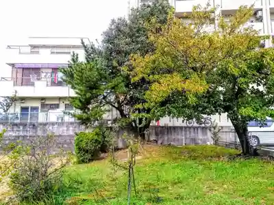 熊野社(築地熊野社)の周辺