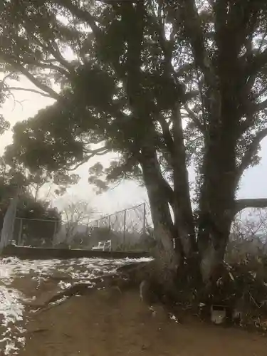 サムハラ神社 奥の宮の自然