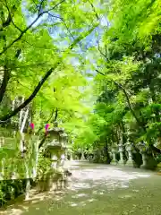 香取神宮(千葉県)