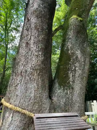 伊弉諾神宮(兵庫県)