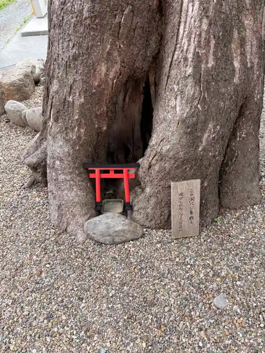 藤の森稲荷大神(兵庫県)