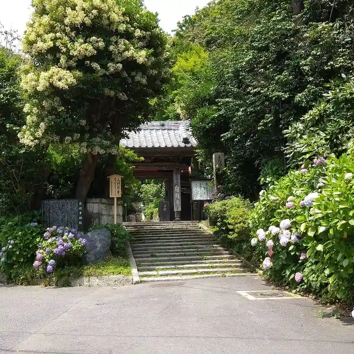 岩殿寺の山門・神門