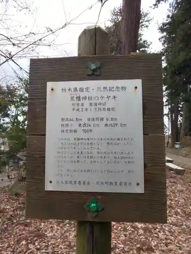 荒橿神社の歴史