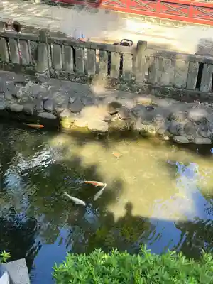 根津神社(東京都)