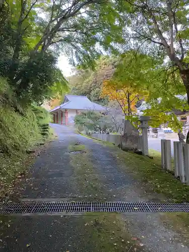 新大佛寺の自然