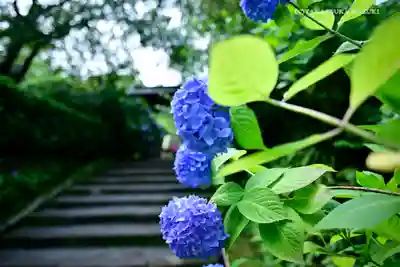 明月院のその他建物