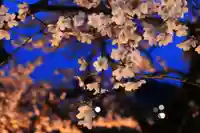 長屋神社の庭園