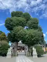 亀ケ池八幡宮のその他建物