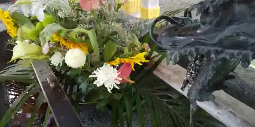 彌彦神社　(伊夜日子神社)の手水舎