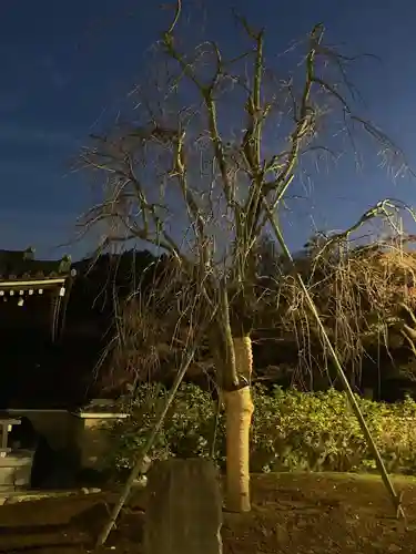 東漸寺(千葉県)