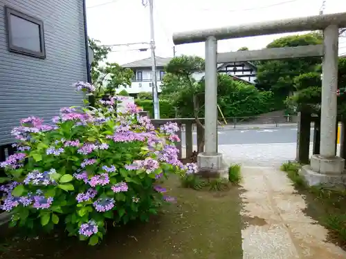高砂天祖神社(東京都)