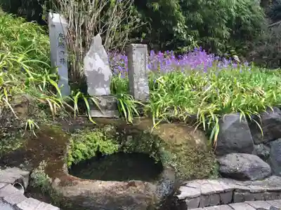 海蔵寺(神奈川県)