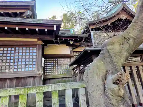 小杉神社(神奈川県)